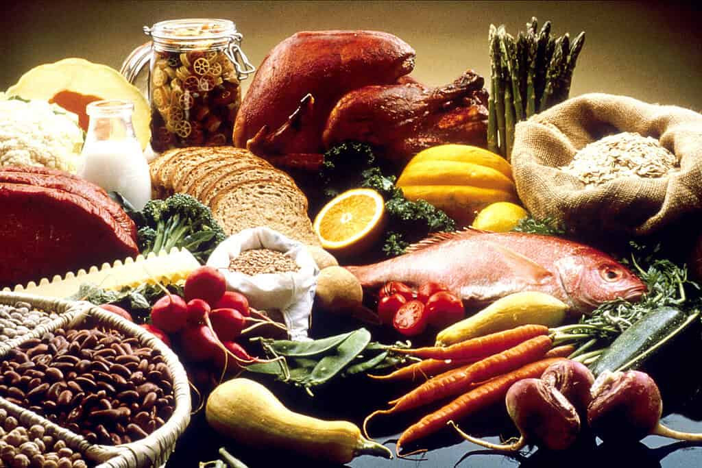 human-grade food