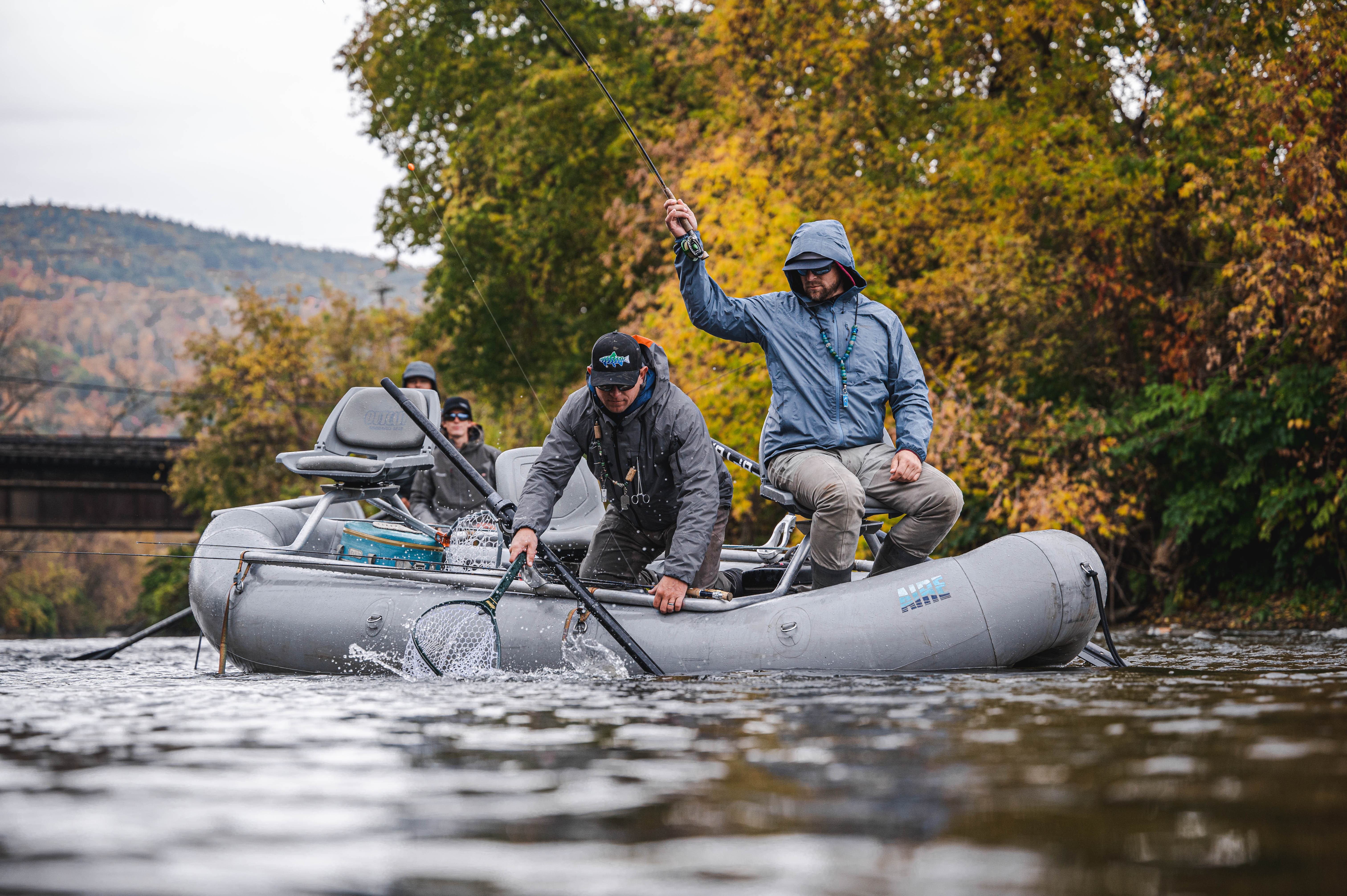 Fishy Guides
