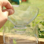 homemade soda bottle fly trap