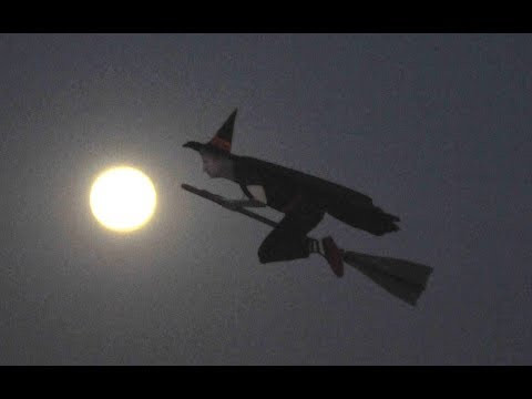 Flying Witch over San Diego