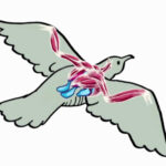 Bird Preening Feathers
