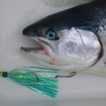 steelhead fishing flies fly trolling trout great lakes