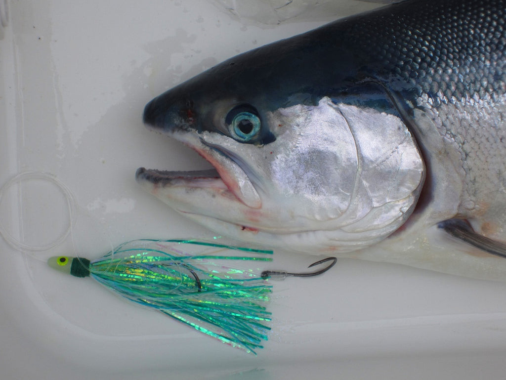 steelhead fishing flies fly trolling trout great lakes