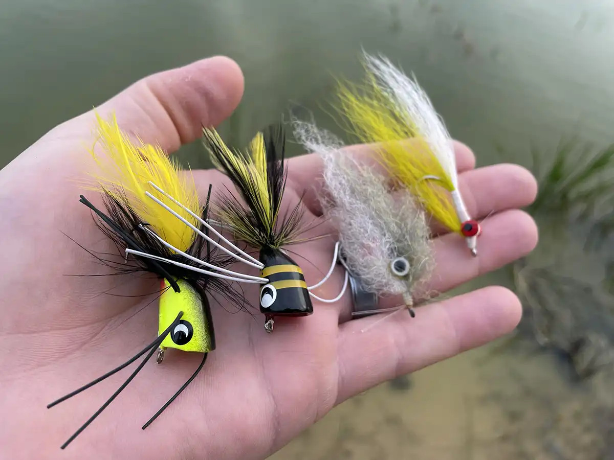 Bass caught on a fly rod in a river
