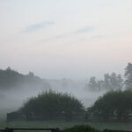 Another early misty morning at the farm, showcasing the serene landscape and the blend of agricultural and natural elements.