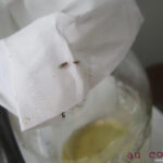 Apple cider vinegar fly trap