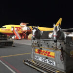 Horses loading on to a cargo plane