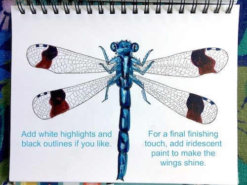 Damsel Fly Wing Coloring Drawing