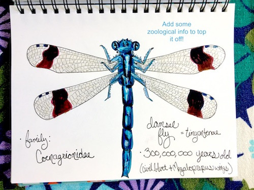 Damsel Fly Final Details Drawing