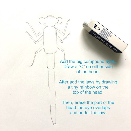 Damsel Fly Eyes &amp; Jaws Drawing