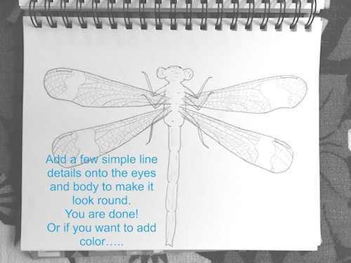 Damsel Fly Finishing Details Drawing