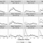 Male and female house flies collected during each collection period