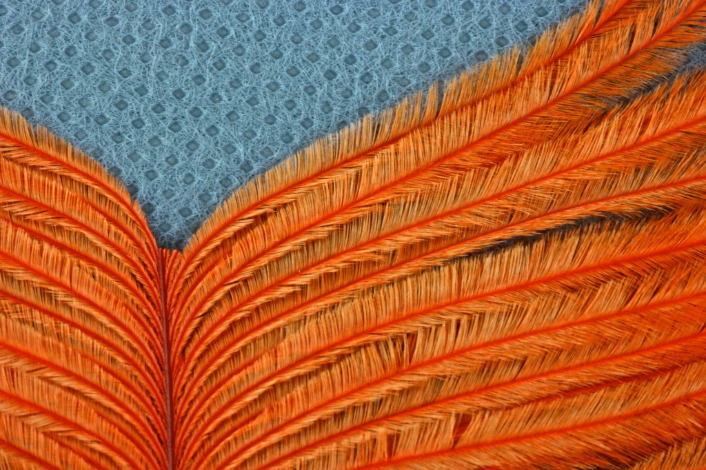 This ostrich plume (the same we have been looking at) not only has sharp tips but also very firm base to each fiber. this means it will stand out if spun in a loop and hold a lot of loft. 