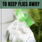 Basil plants in pots around a patio, naturally repelling flies