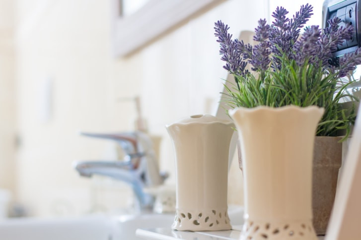 Lavender plants as natural fly repellent