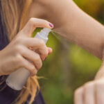 apply DEET repellents