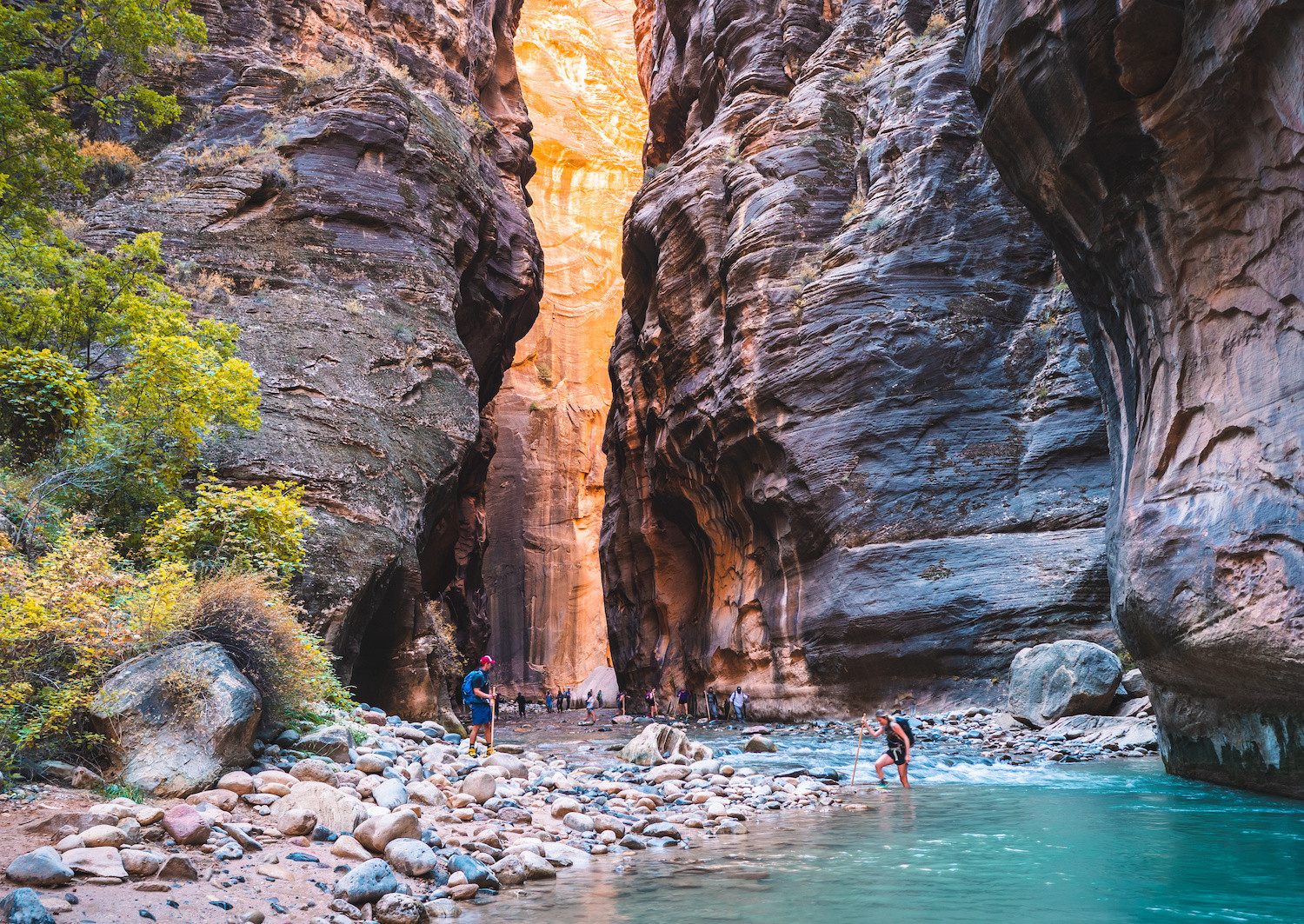 Zion National Park Narrows Hike