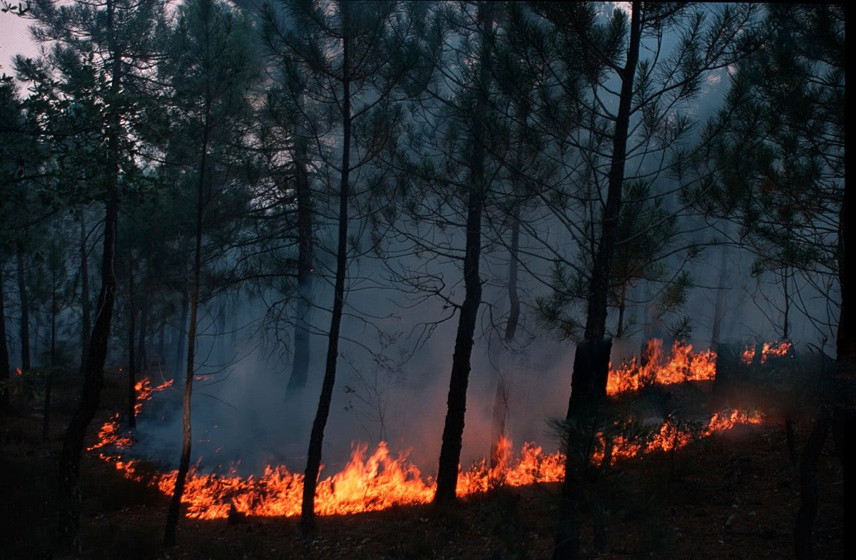 drones for night firefighting