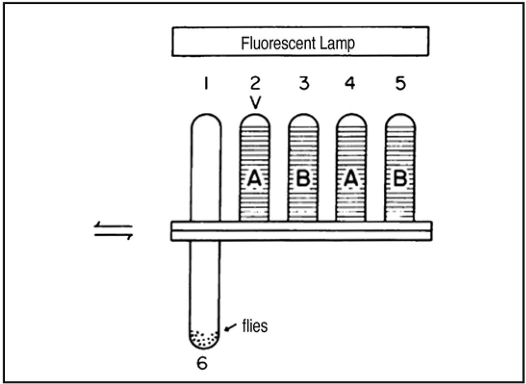 Olfactory avoidance learning in the QHB assay