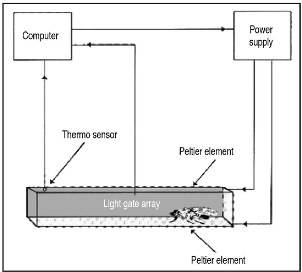 Buridan’s paradigm and spatial orientation memory