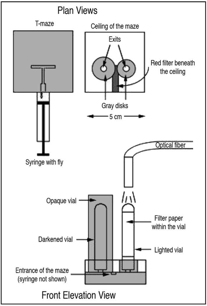 Aversive phototaxic suppression