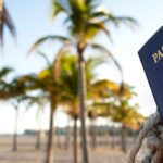 us passport tied to palm tree on beach