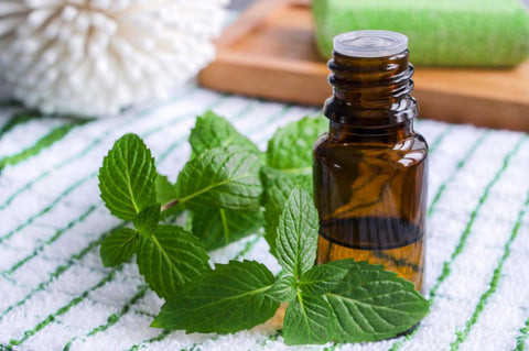 Peppermint sprig next to an amber glass bottle