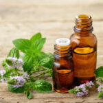 Peppermint flowers and peppermint oil are extremely attractive to bees.
