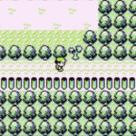 Red standing next to the tree that blocks the location of HM 02 Fly in Pokemon Red