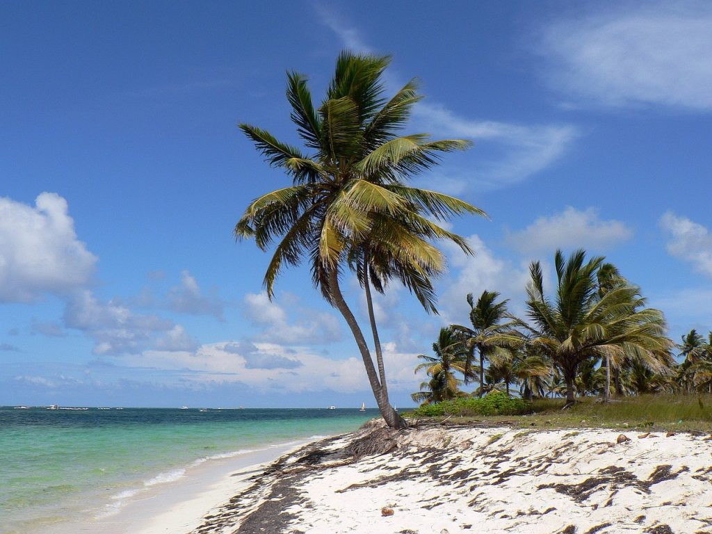 Punta Cana Airport