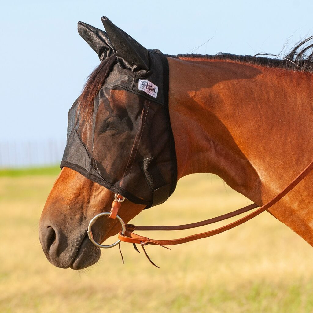 Close-up of a horse fly mask, showing mesh and ear covering