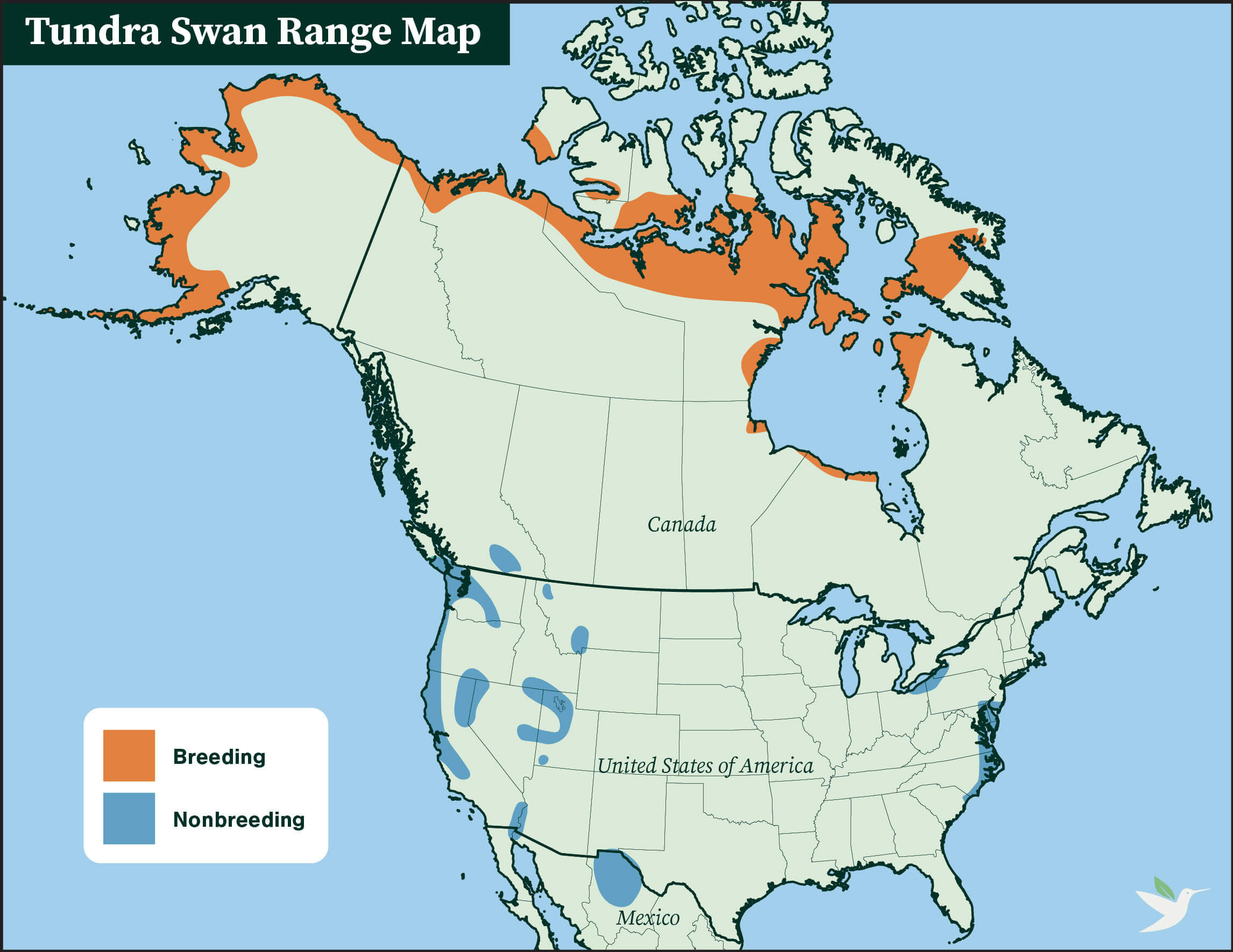 Tundra Swan range map by ABC