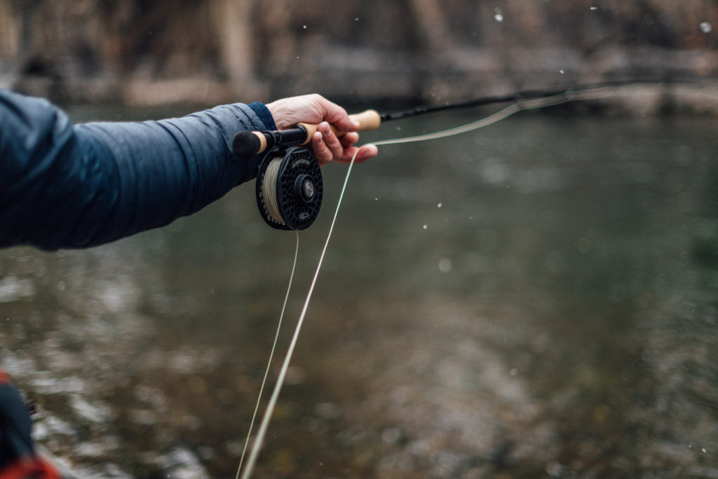 Fly line color