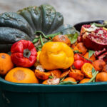 Decaying produce in a green bin