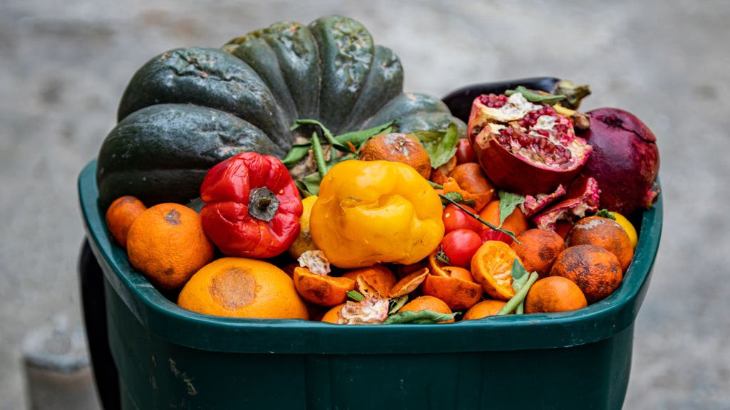 Decaying produce in a green bin