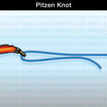 Thread the line through the eye of the hook for the Pitzen knot