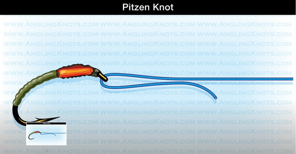 Thread the line through the eye of the hook for the Pitzen knot