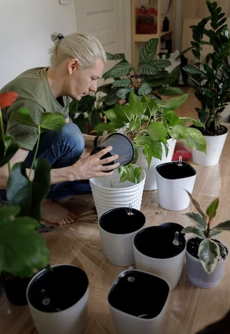 Repotting plants
