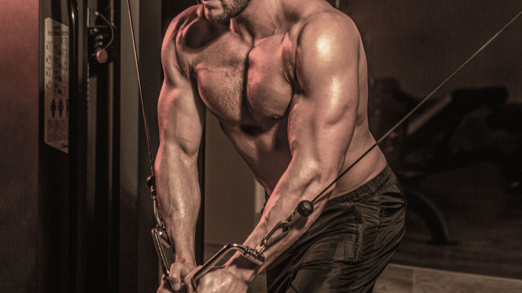 A shirtless person in a gym doing a cable exercise
