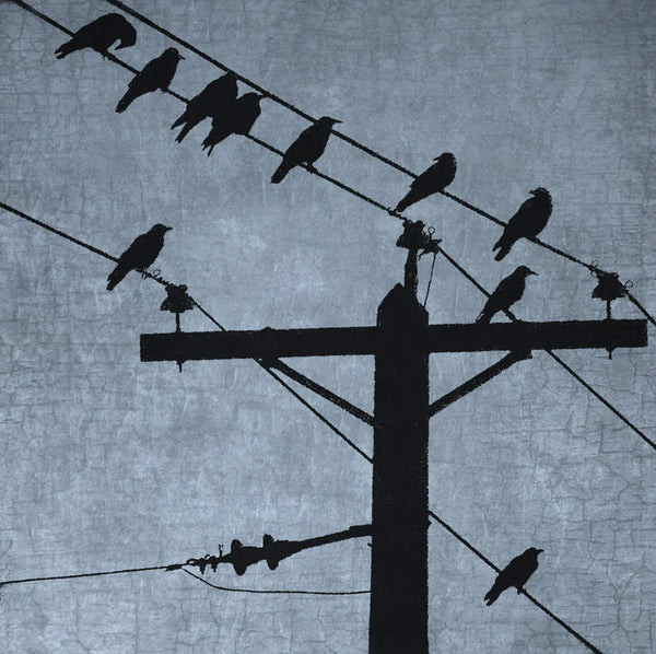 Stopover-group-of-crows