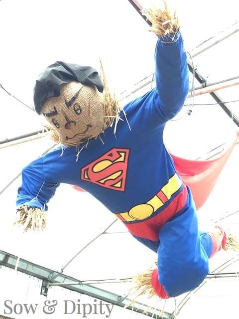 Create a scarecrow dressed as a superhero, complete with a cape and mask