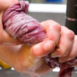 wring rag