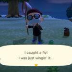 Dung Beetle Animal Crossing