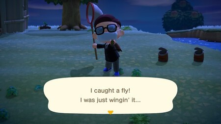 Dung Beetle Animal Crossing