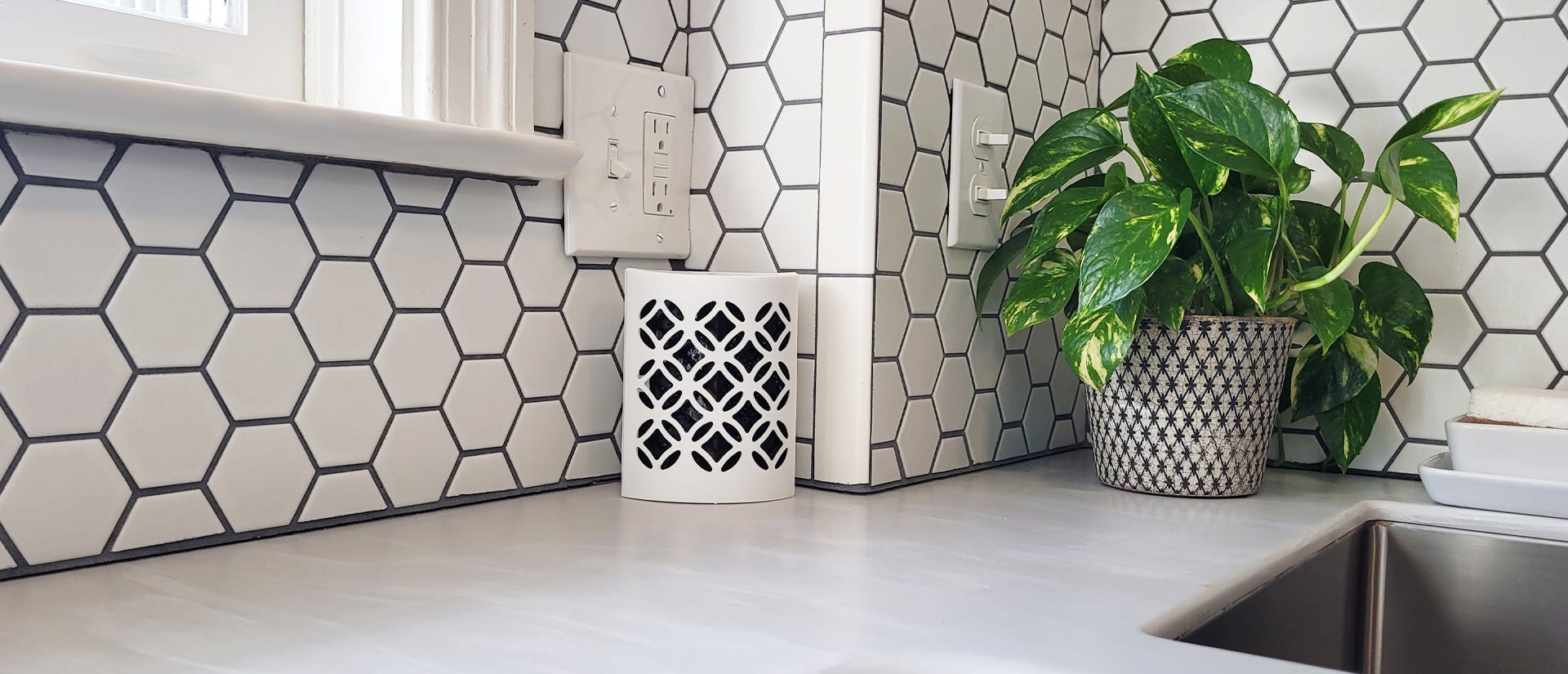 TERRO Discreet Indoor Fly Trap sitting on a kitchen countertop near a window and stainless steel sink