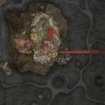 Elden Ring Swarm of Flies Location in Mohgwyn Palace Blood Swamp