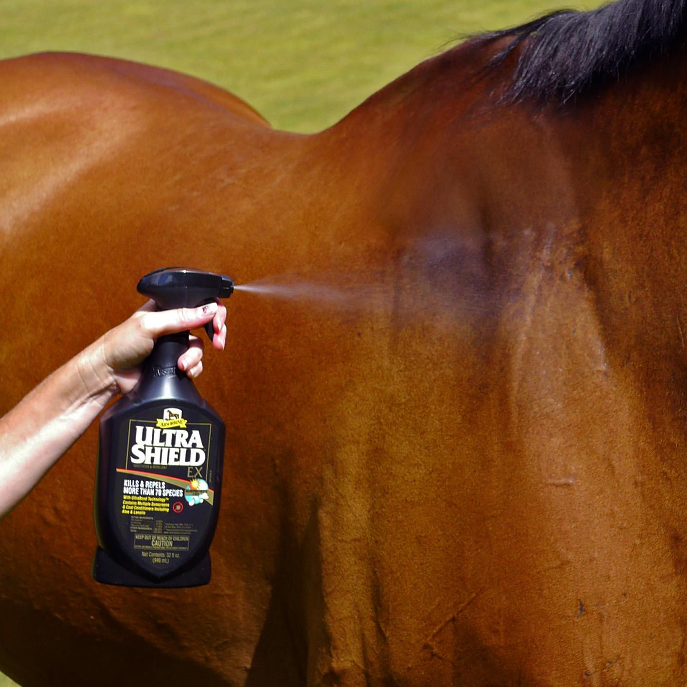 UltraShield EX fly spray being applied to a horse's coat for effective fly control.