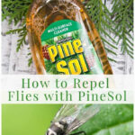How to Repel Flies with PineSol