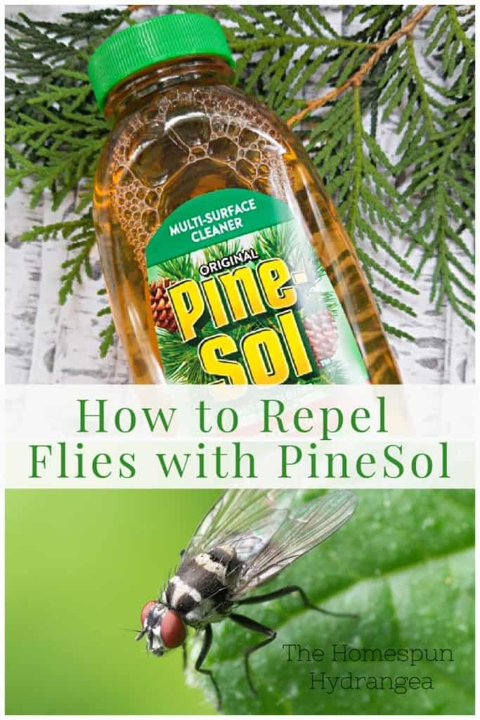 How to Repel Flies with PineSol