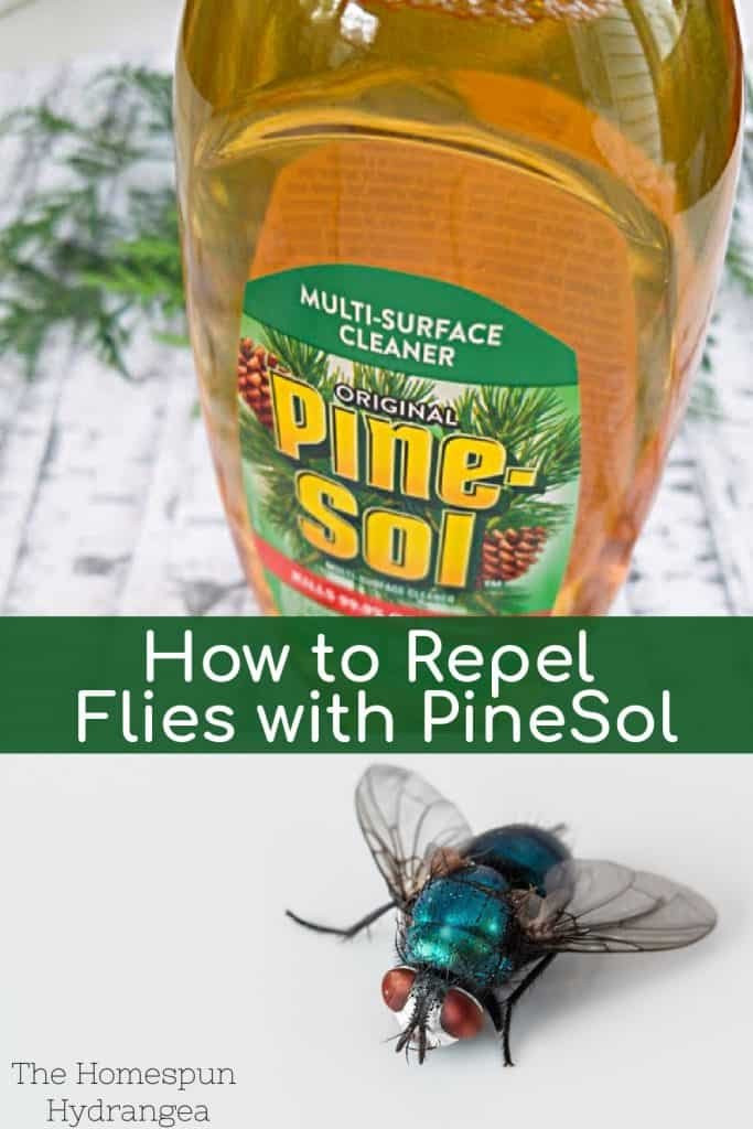 How to Get Rid of Flies